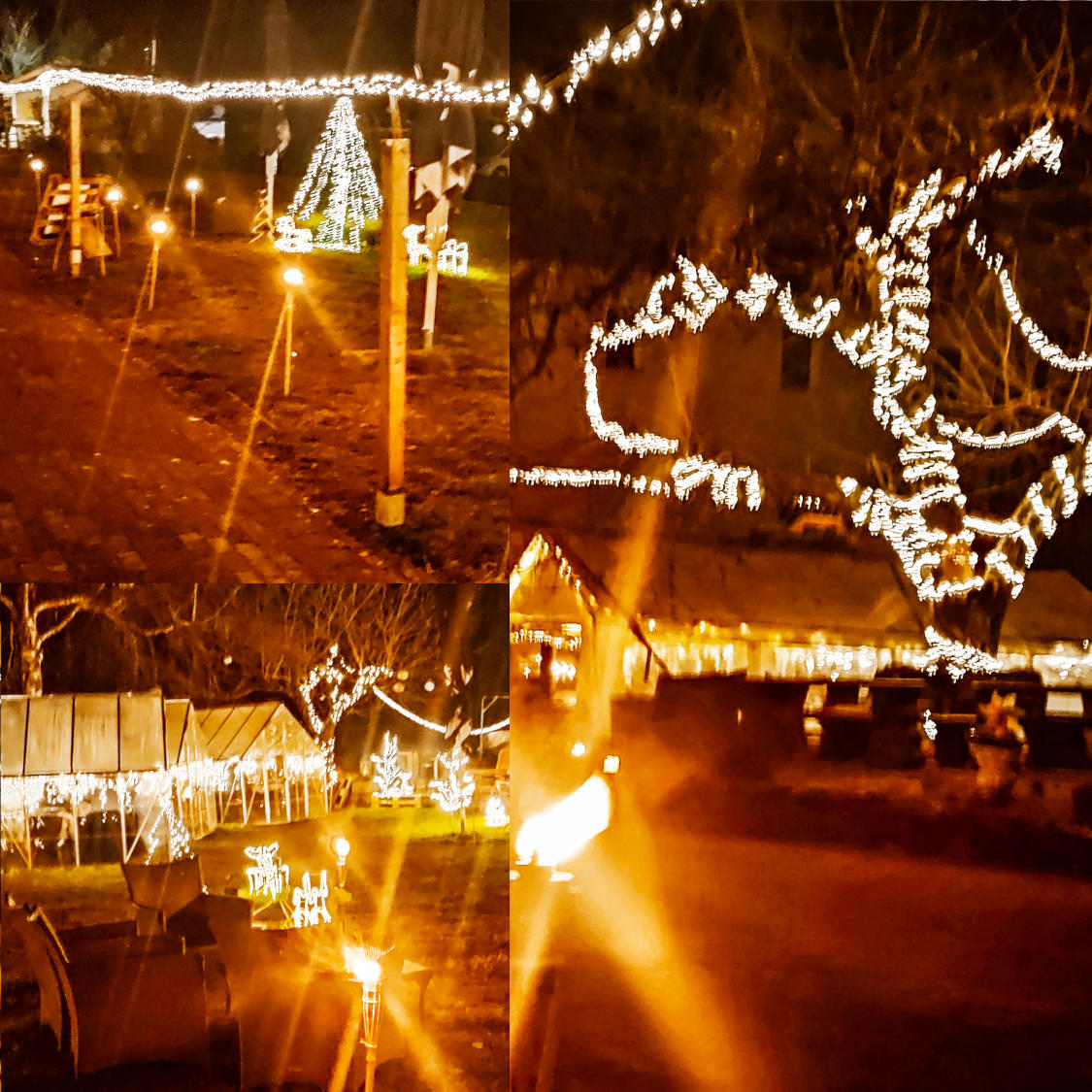 Lichter Fest