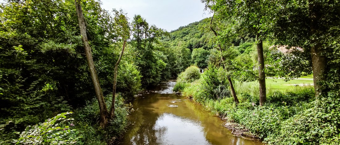 Bach auf dem Gelände, umringt von Grün